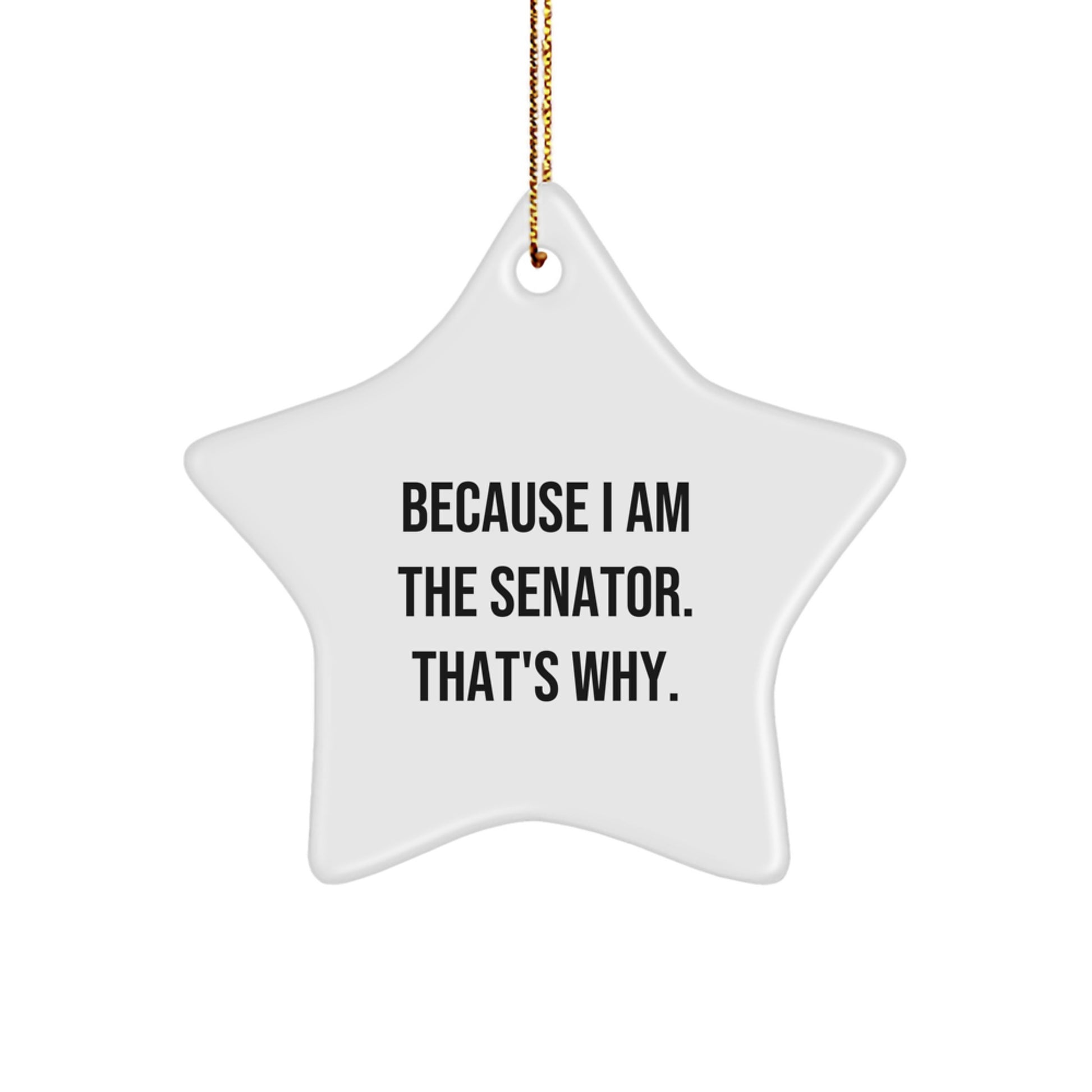 Funny Senator Star Ornament Gifts for Senator - White Star Shaped Christmas Decorations - Gifts from Friends and Family - Image 1