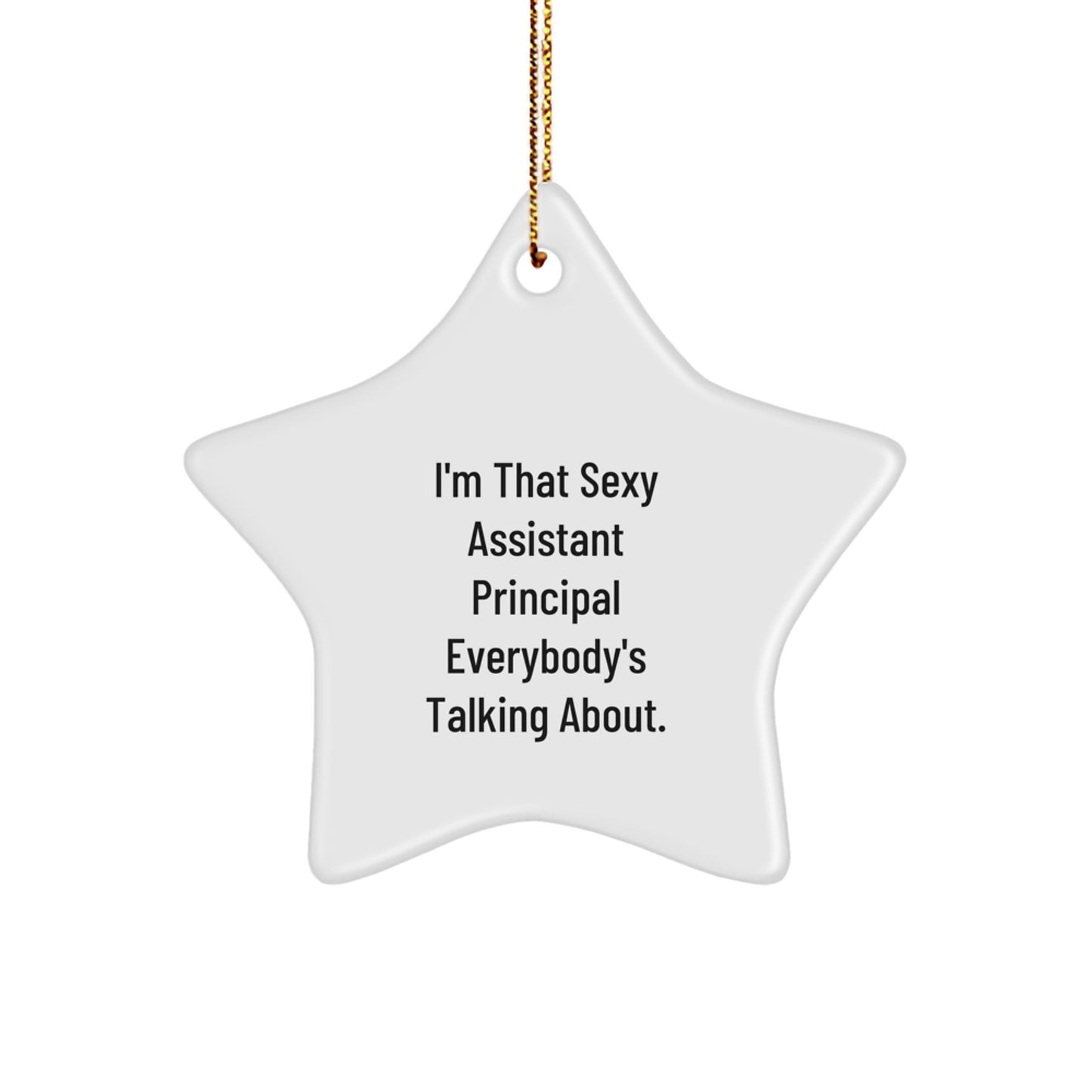 Funny Assistant Principal Gifts from Men to Star Ornament Lover for Christmas Unique Gifts - Image 1