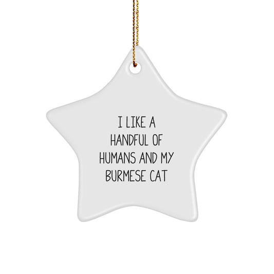 Funny Burmese Cat Star Ornament Gifts from Family, for Christmas Unique Presents - Image 1
