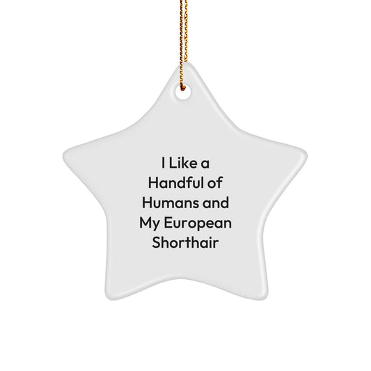 Funny European Shorthair Cat Star Ornament, Gifts from Men to European Shorthair Cat Lovers, Christmas Unique Presents - Image 1