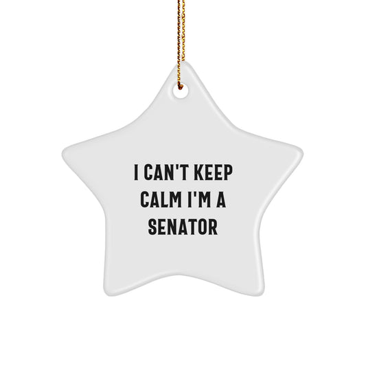 Senator Star Ornament Funny Quote Gifts from Friends for Christmas, 'I Can't Keep Calm I'm A Senator', White Star Shaped Decorations, MDF and High-Gloss Finish, Ideal Gifts for Senator, Men, or Women - Image 1