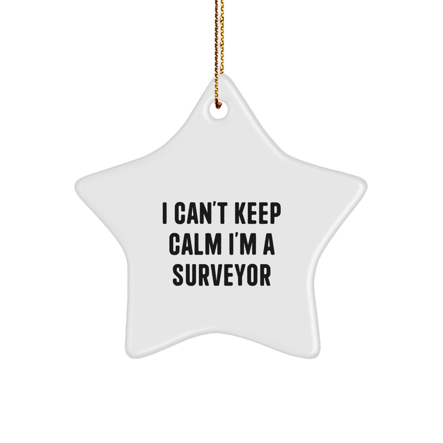 Funny Surveyor Gifts from Friends and Family, I Can't Keep Calm I'm A Surveyor Star Ornament for Surveyor Men and Women, Christmas Unique Gifts - Image 1