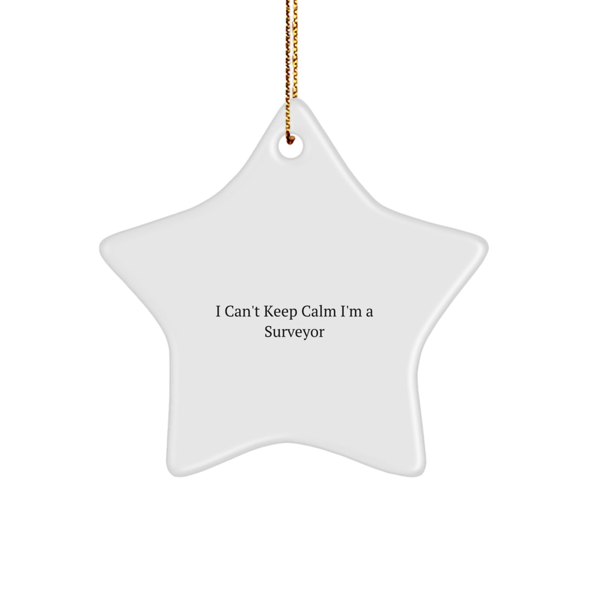 Funny Surveyor Gifts for Him from Friends, Star Ornament I Can't Keep Calm I'm A Surveyor Christmas Unique - Image 1