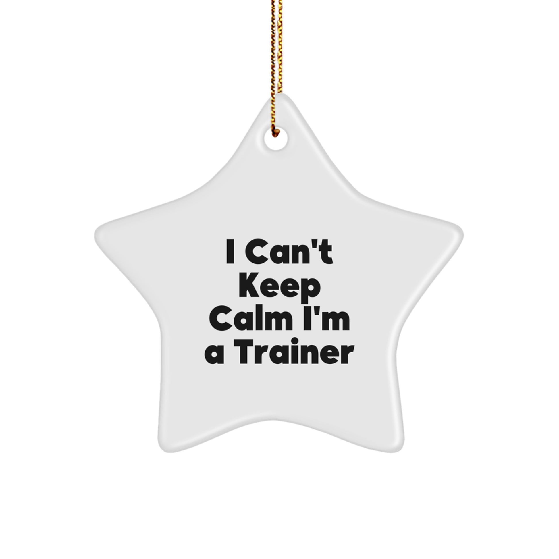 Funny Trainer Gifts from Friends, Christmas Unique Gifts for Trainer, I Can't Keep Calm I'm A Trainer Star Ornament - Image 1