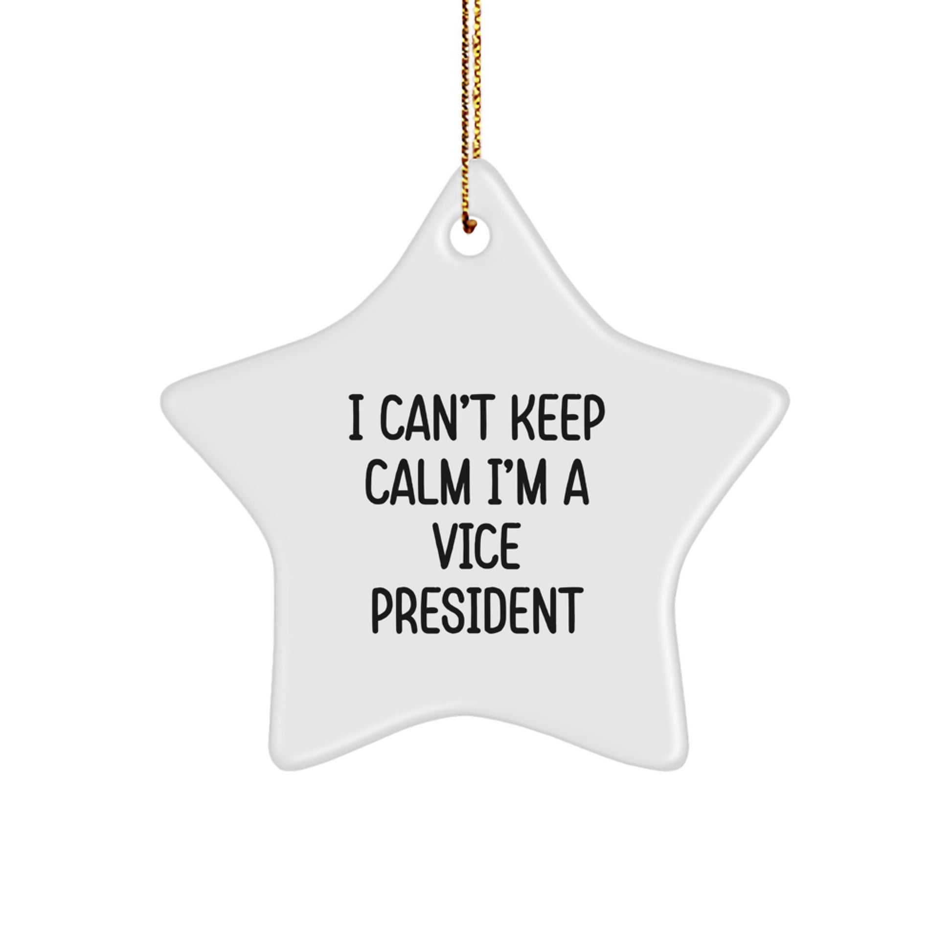 Funny Vice President Gifts I Can't Keep Calm Star Ornament for Christmas, Gifts from Friends or Coworkers, for Vice President or Boss - Image 1