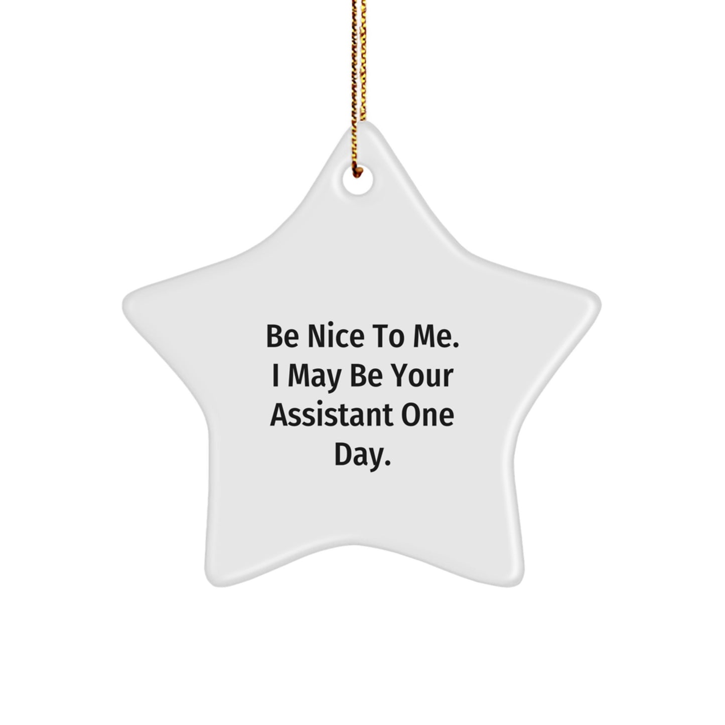 Funny Assistant Gifts | Gifts from Friends for Coworker Assistant, Star Ornament with Be Nice to Me Quote, Christmas Unique Gifts - Image 1