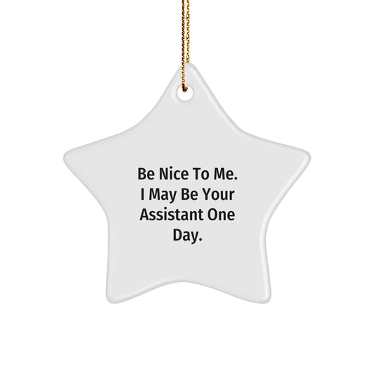 Funny Assistant Gifts | Gifts from Friends for Coworker Assistant, Star Ornament with Be Nice to Me Quote, Christmas Unique Gifts - Image 1