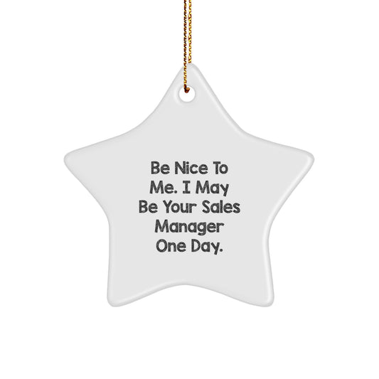 Funny Inspirational Sales Manager Gifts for Men Star Ornament - Be Nice To Me One Day - Gifts from Friends to Sales Manager Coworkers - Image 1