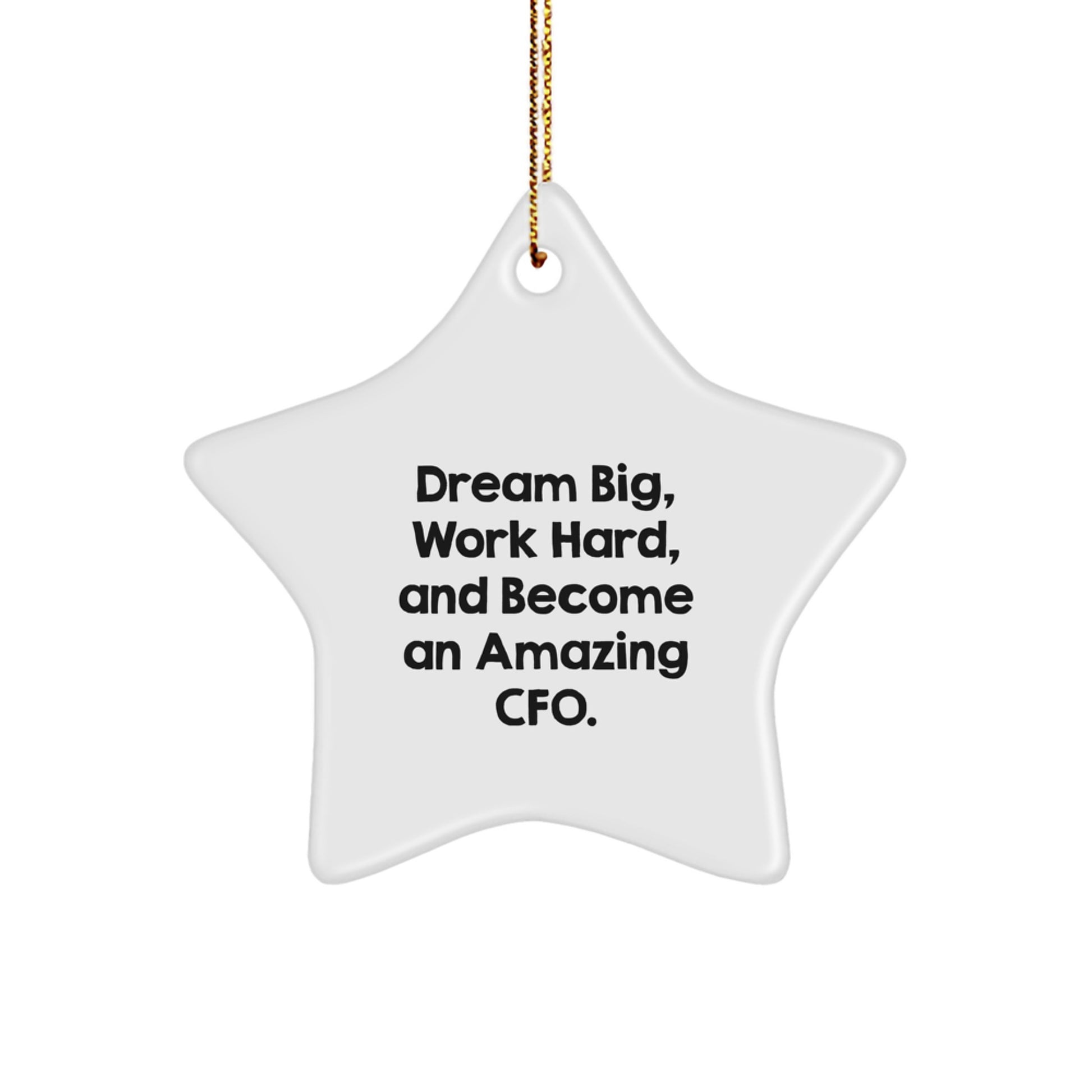 Funny CFO Star Ornament Gifts from Friends for Men and Women - Christmas Unique Gifts for CFO - Dream Big Work Hard Quote - CFO Gifts for Office - Image 1
