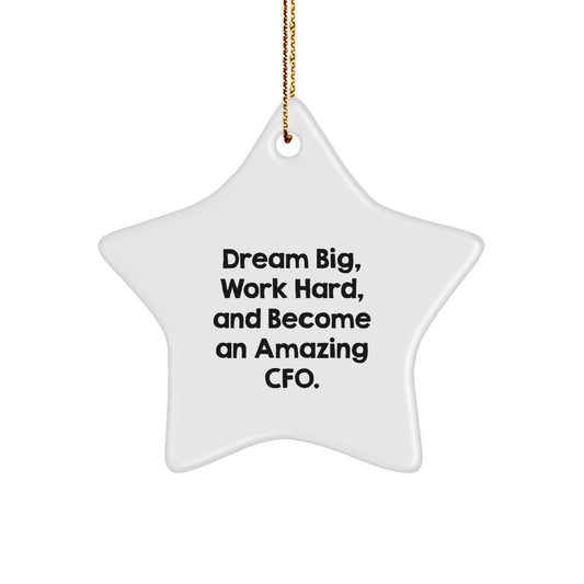 Funny CFO Star Ornament Gifts from Friends for Men and Women - Christmas Unique Gifts for CFO - Dream Big Work Hard Quote - CFO Gifts for Office - Image 1