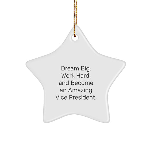 Funny Vice President Inspirational Gifts from Friends to Vice President Star Ornament for Christmas Unique Decorations - Image 1