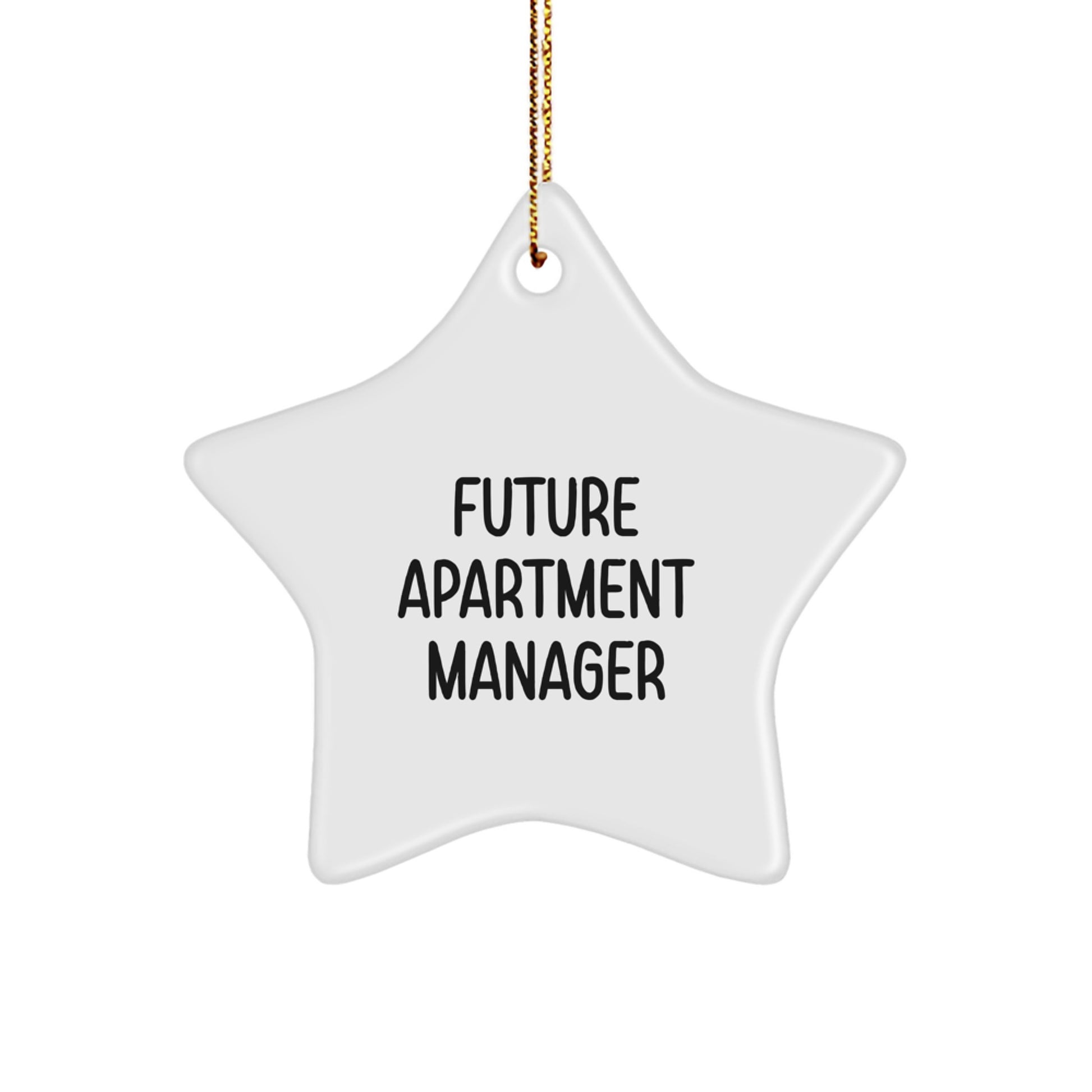 Gifts from Apartment Manager Quotes, Funny Star Ornament, Inspirational Future Quote, Christmas Unique Gifts for Apartment Managers - Image 1