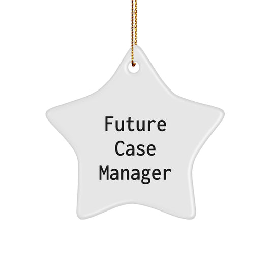 Funny Future Case Manager Christmas Star Ornament Gifts from Friends to Case Manager - Image 1