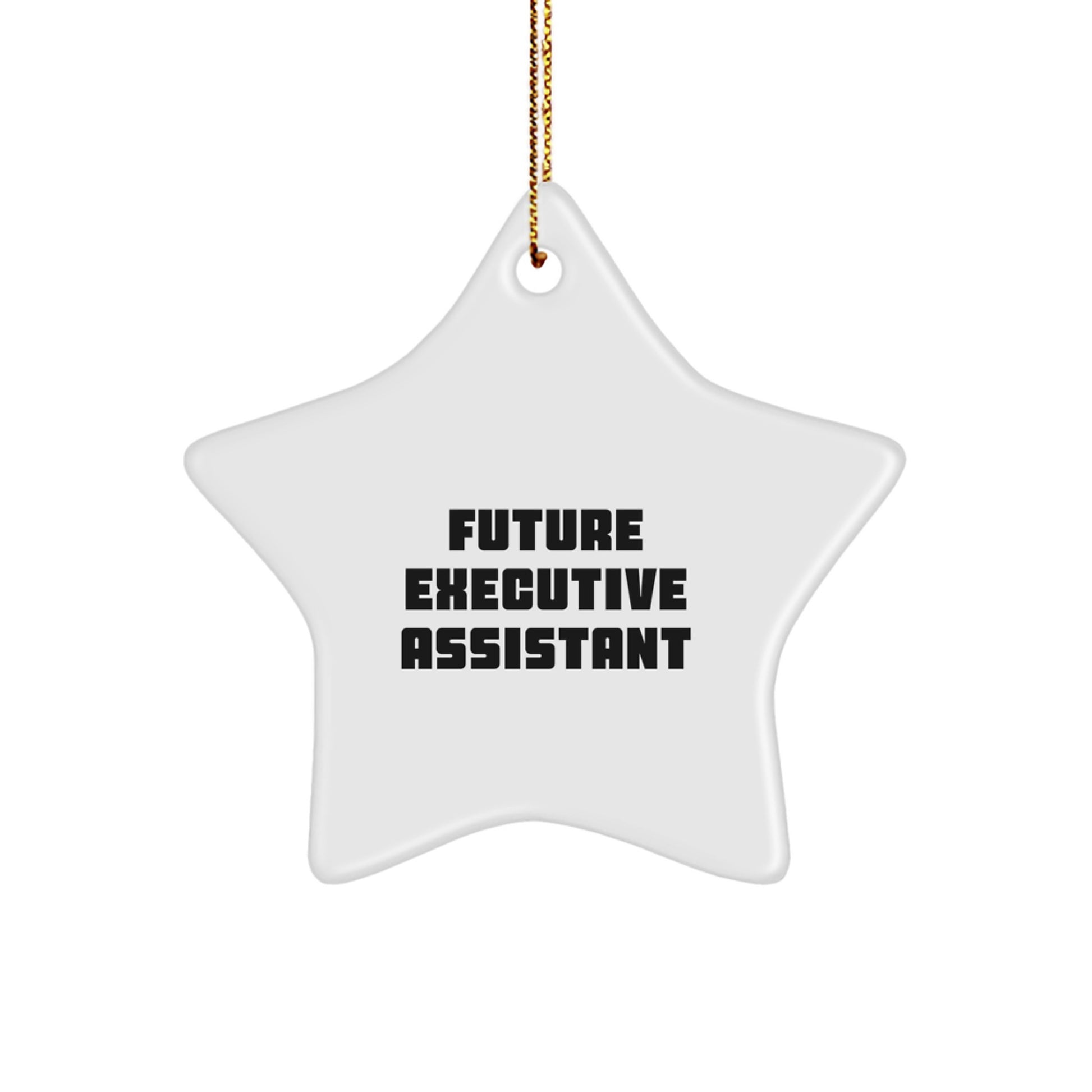 Gifts from Men to Executive Assistant Star Ornament Inspirational Quote Funny Christmas Unique Decorations - Image 1