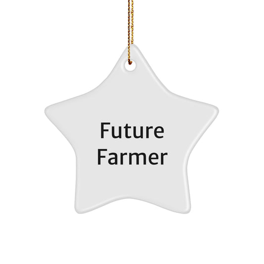 Future Farmer Gifts from Men - Funny Farmer Star Ornament for Christmas Unique Gifts for Farmer Friends - Image 1