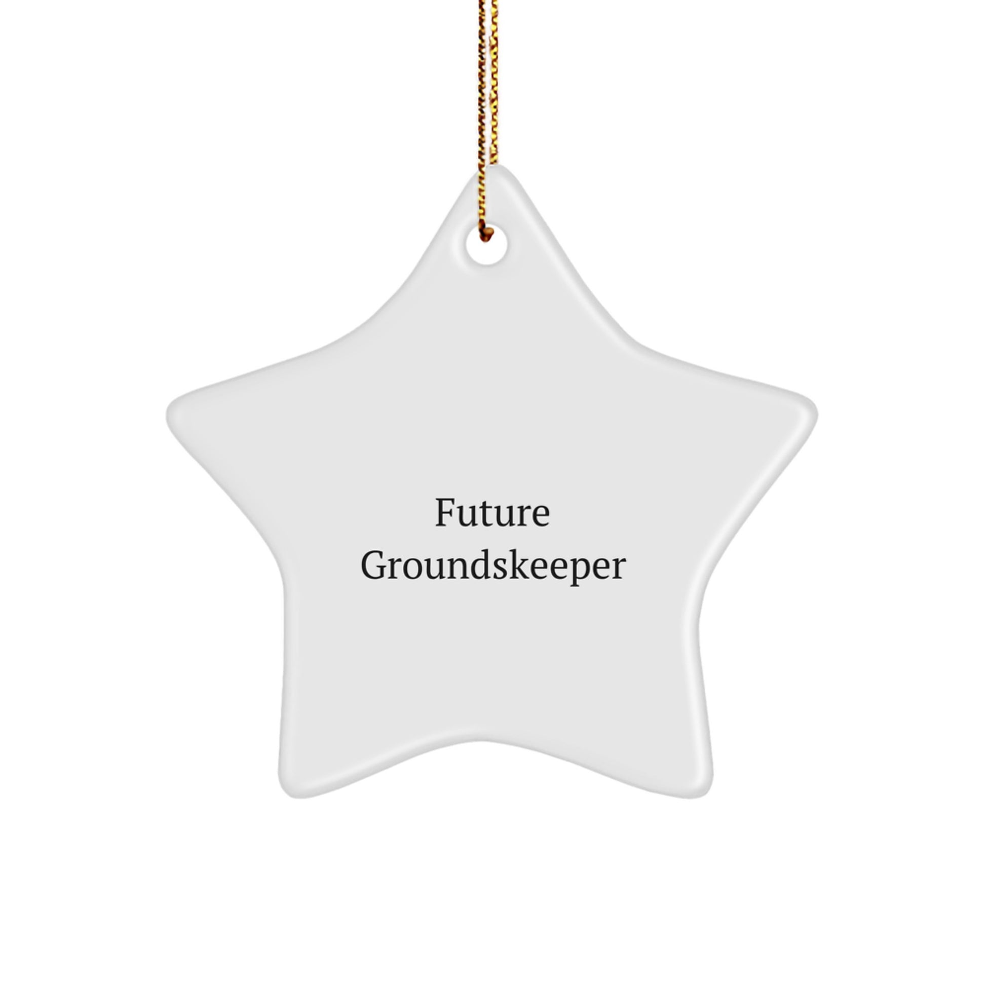 Funny Future groundskeeper Gifts for Men, Women, Friends, or Coworkers - Christmas Star Ornament for groundskeeper Enthusiasts - Gifts from Family, Friends, or Coworkers - Image 1