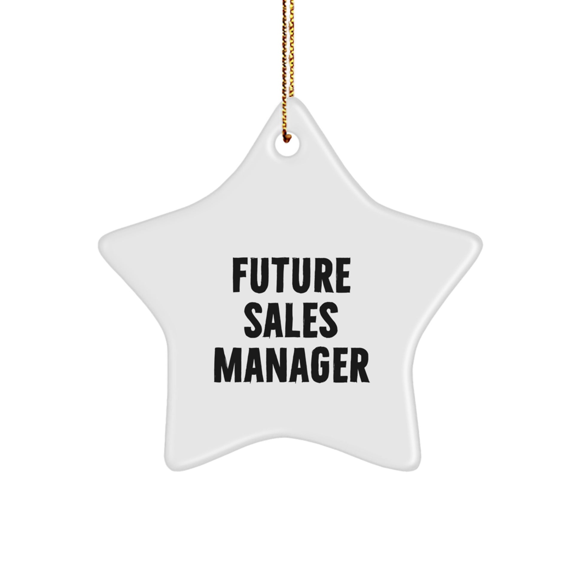 Funny Sales Manager Christmas Unique Gifts from Men to Friends, Vibrant Star Ornament for Future Leaders - Image 1