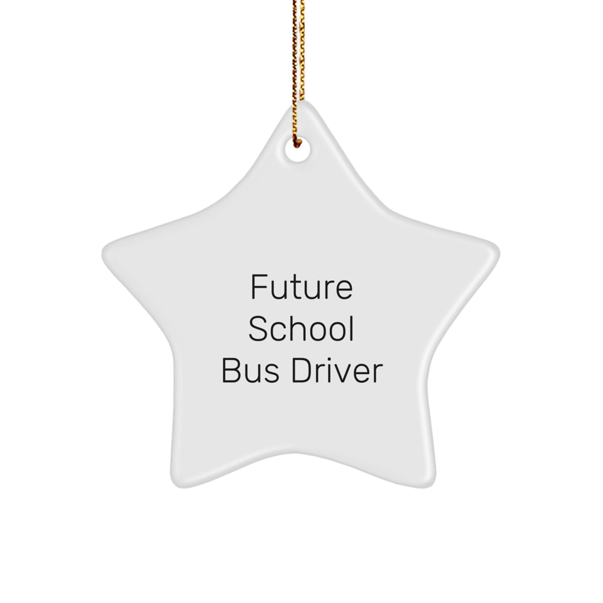 Funny School Bus Driver Gifts for Him - Future School Bus Driver Star Ornament, Christmas Unique Gifts from Friends or Family - Image 1