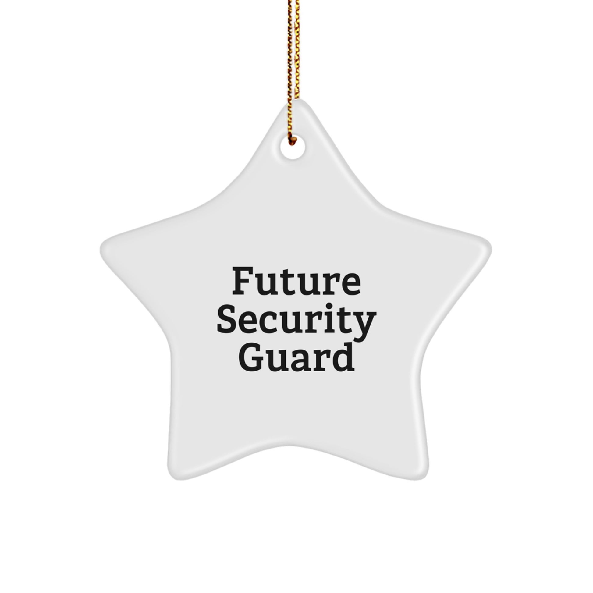 Funny Future Security Guard Star Ornament, Gifts from Family, Christmas Unique Presents for Security Guards, 'May You Shine Bright Like a Star' - Image 1