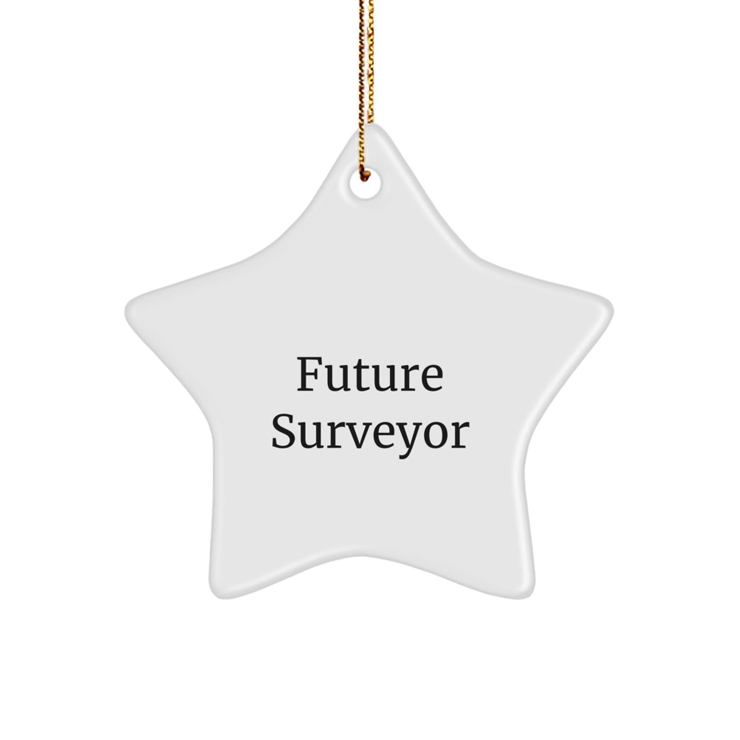 Future Surveyor, May Your Dreams Align Like this Star Ornament, Funny Gifts for Surveyors, Christmas Unique Gifts from Friends - Image 1