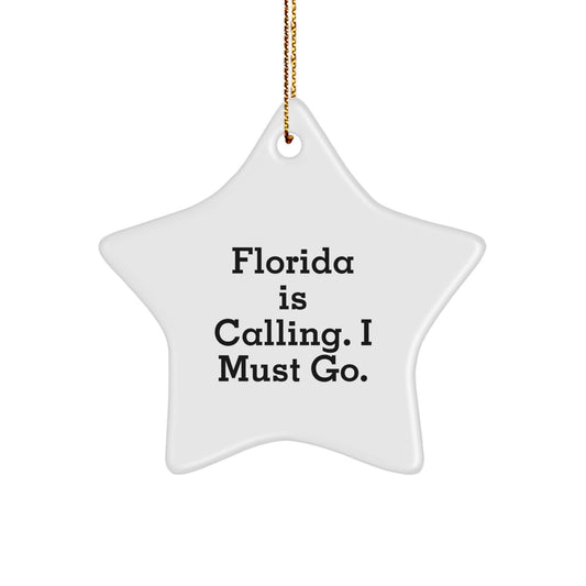 Funny Florida Star Ornament for Florida Gifts from Friends and Family - Image 1