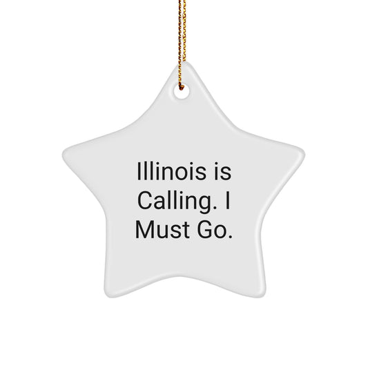 Funny Illinois Star Ornament Gifts from Friends for Illinois Residents - Illinois Is Calling I Must Go Christmas Unique Gifts - Image 1