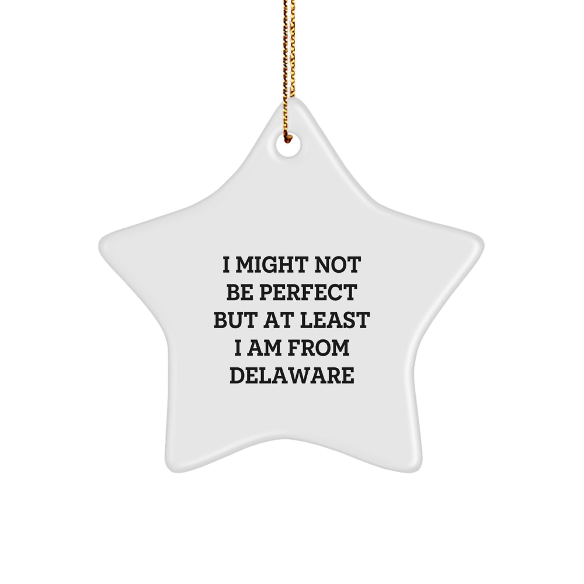 Funny Delaware Star Ornament Gifts from Men to Friends with I Might Not Be Perfect Quote, Unique Christmas Decorations for Home - Image 1