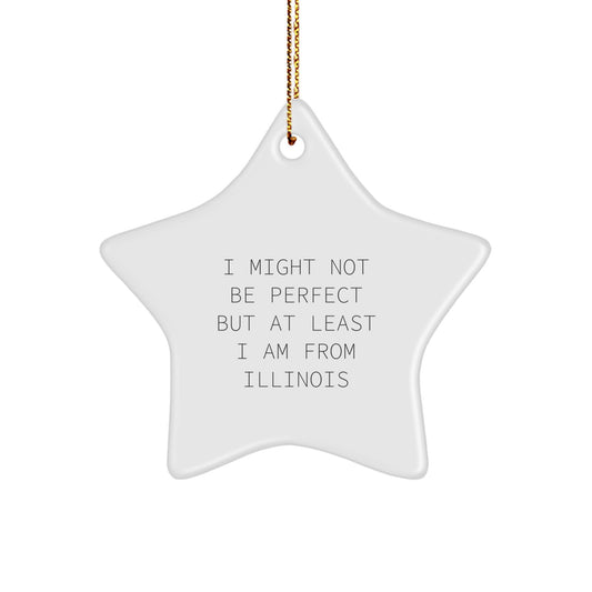 Funny Illinois Star Ornament Gifts from Friends and Family for Illinois Men Women, Cute Christmas Unique Gifts, Illinois Star Ornament Quote - Image 1