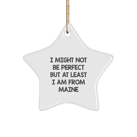 Maine Lover Gifts from Family and Friends - 'I Might Not Be Perfect' Funny Star Ornament for Christmas Unique Gifts - Image 1