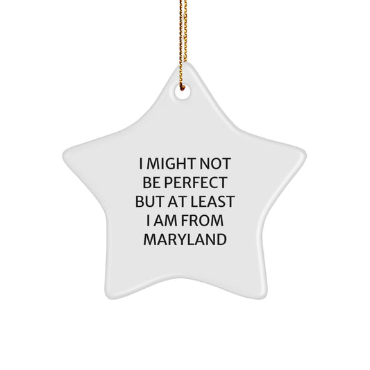 Maryland Gifts from Friends and Family - Unique Star Ornament for Christmas - Funny Quote Star Decoration - Image 1