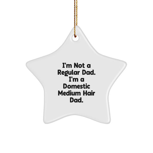 Domestic Medium Hair Cat Dad Christmas Star Ornament Gifts from Friends for Men - Image 1