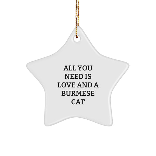 Burmese Cat Star Ornament Funny Gifts from Friends and Family for Christmas - Image 1