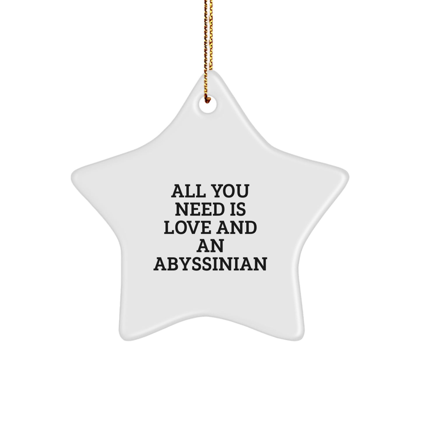 Abyssinian Cat Lover Gifts from Family for Christmas Unique Star Ornament, Funny Quote All You Need Is Love And An Abyssinian, White Star Shaped - Image 1