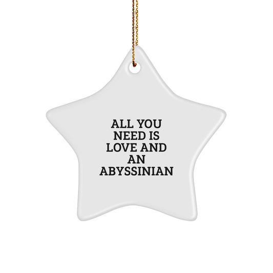 Abyssinian Cat Lover Gifts from Family for Christmas Unique Star Ornament, Funny Quote All You Need Is Love And An Abyssinian, White Star Shaped - Image 1
