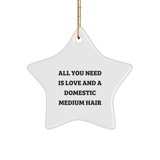 Funny Domestic Medium Hair Christmas Unique Gifts for Friends from Men - Star Ornament with 'All You Need Is Love And A Domestic Medium Hair' Quote - Image 1