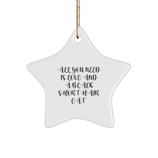 Funny Black Short Hair Cat Christmas Unique Gifts from Friends Star Ornament with 'All You Need Is Love' - Image 1