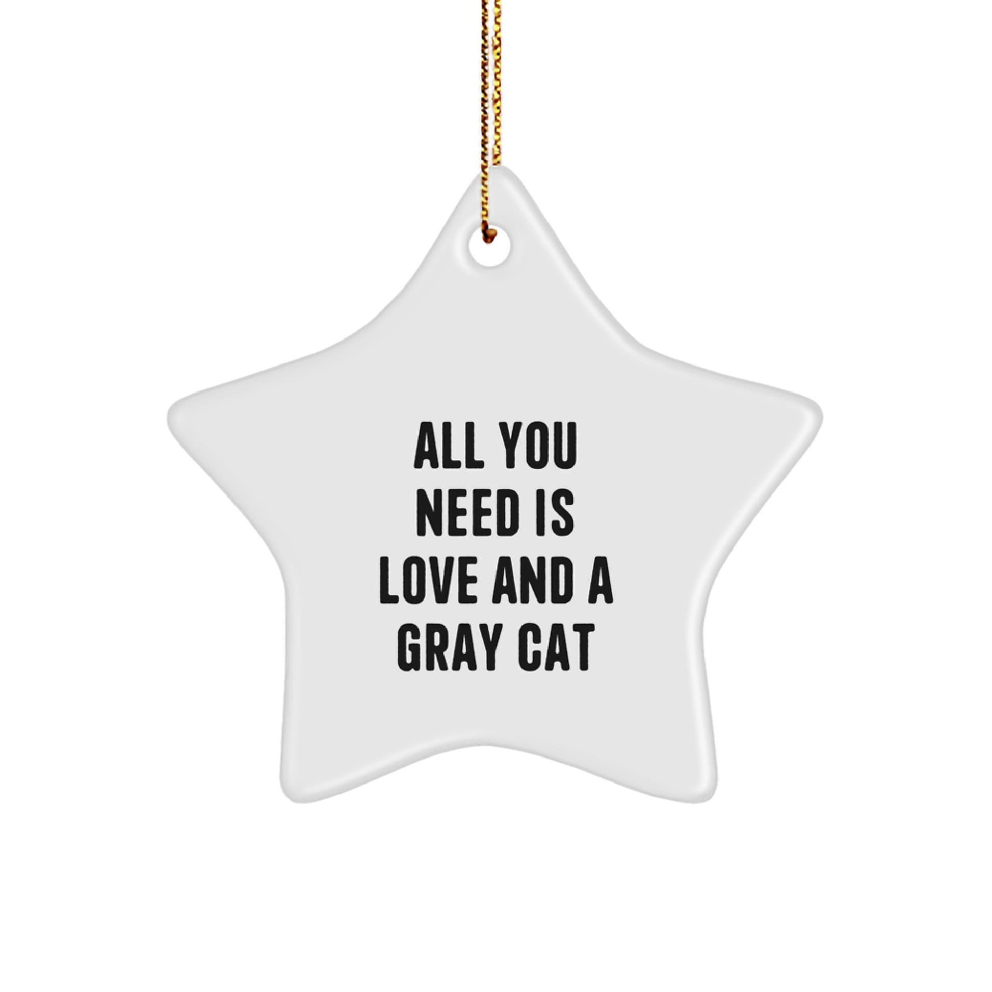Gray Cat Lover Star Ornament Gifts from Men to Women Friends Family for Christmas Unique Presents - Image 1