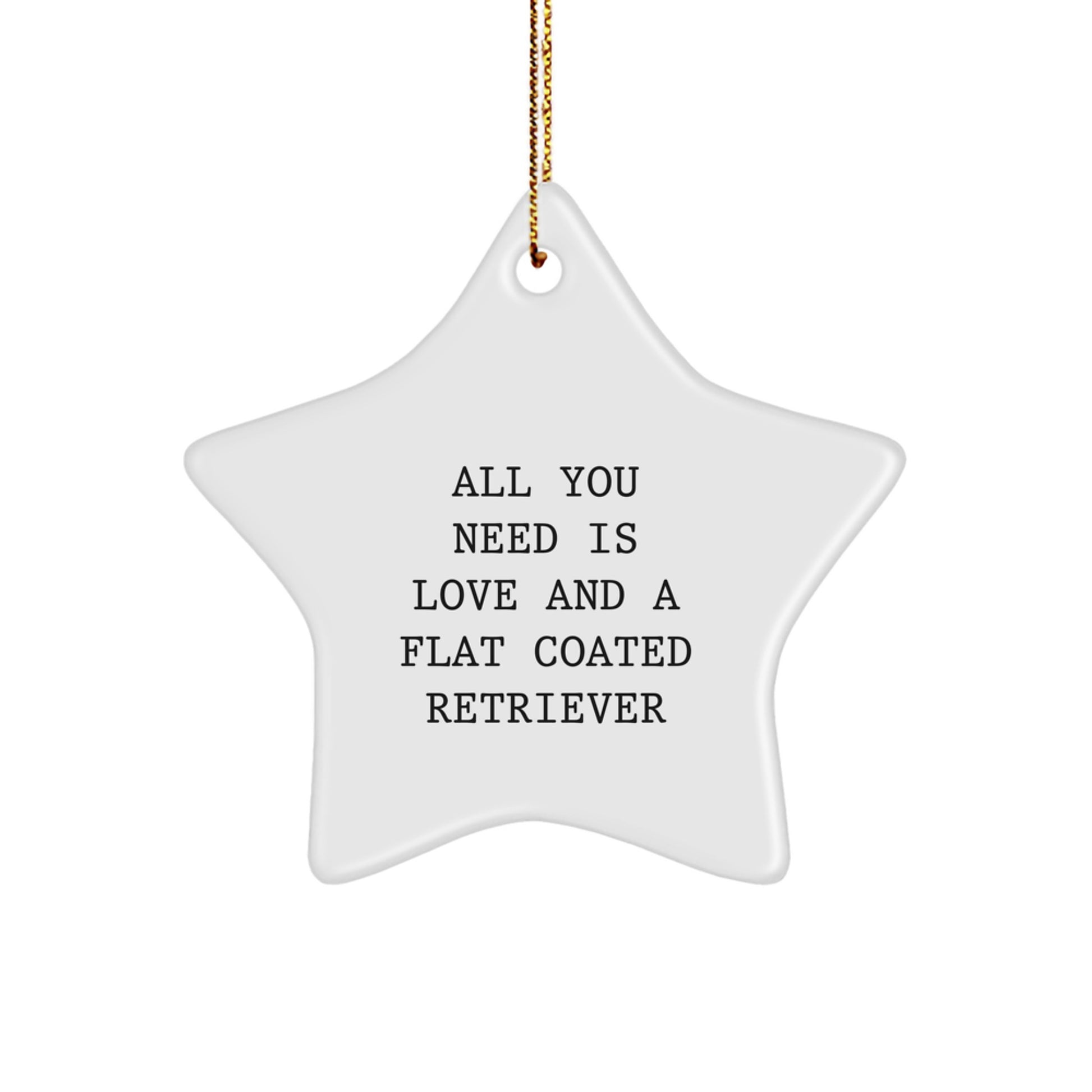 Funny Flat Coated Retriever Dog Gifts from Men - Star Ornament with All You Need Is Love And A Flat Coated Retriever Quote, Great for Christmas Unique Gifts for Flat Coated Retriever Dog Owners - Image 1