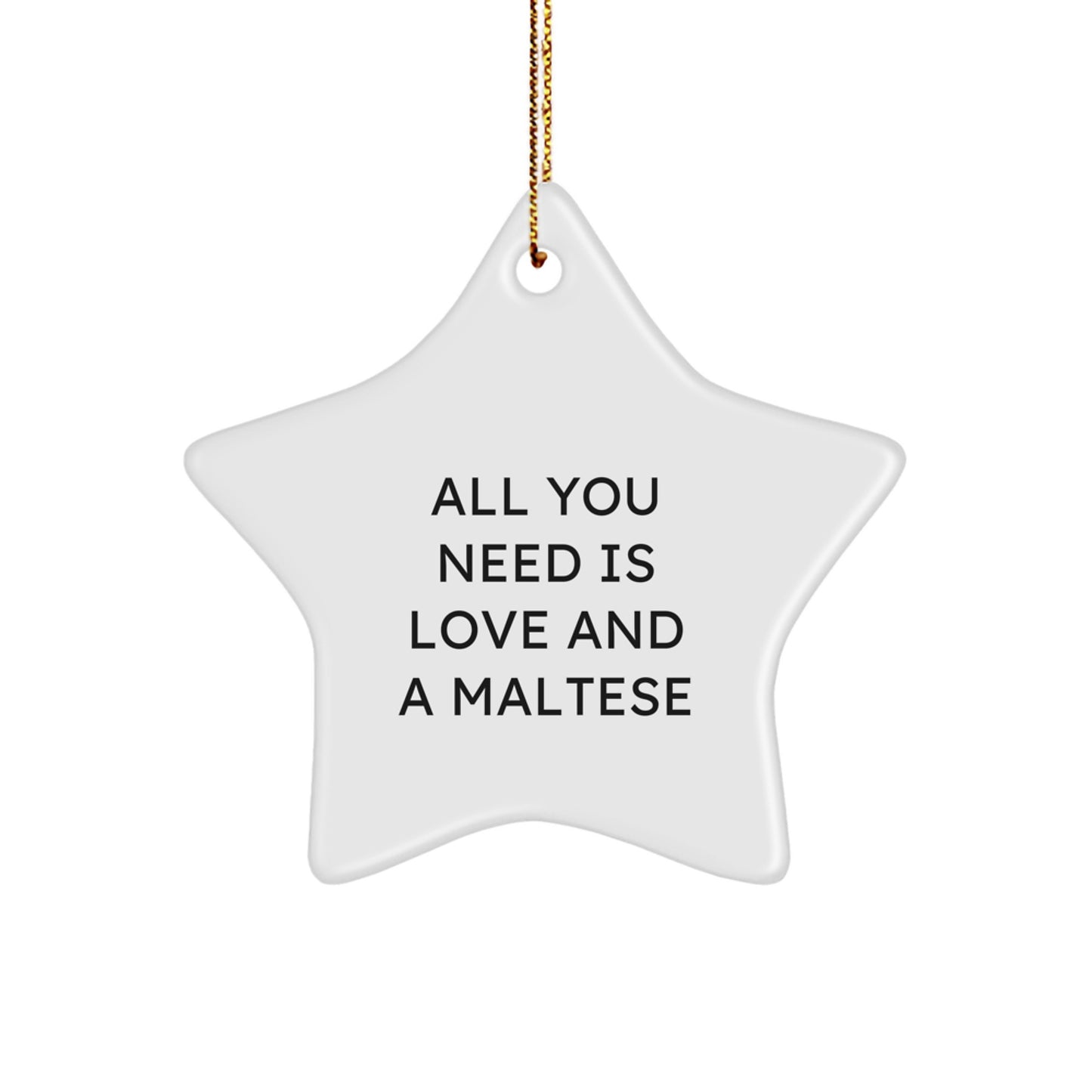 Funny Maltese Dog Gifts for Christmas, 'All You Need Is Love And A Maltese' Star Ornament, Star Shaped White Gift from Family to Loving Maltese Dog Owner - Image 1
