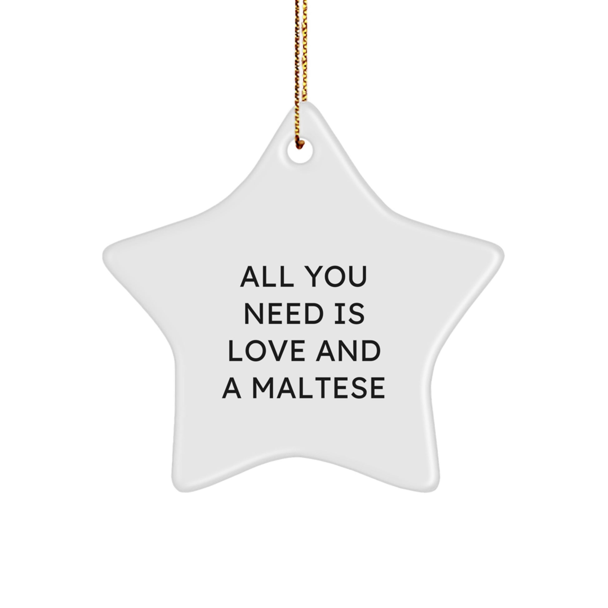 Funny Maltese Dog Gifts for Christmas, 'All You Need Is Love And A Maltese' Star Ornament, Star Shaped White Gift from Family to Loving Maltese Dog Owner - Image 1