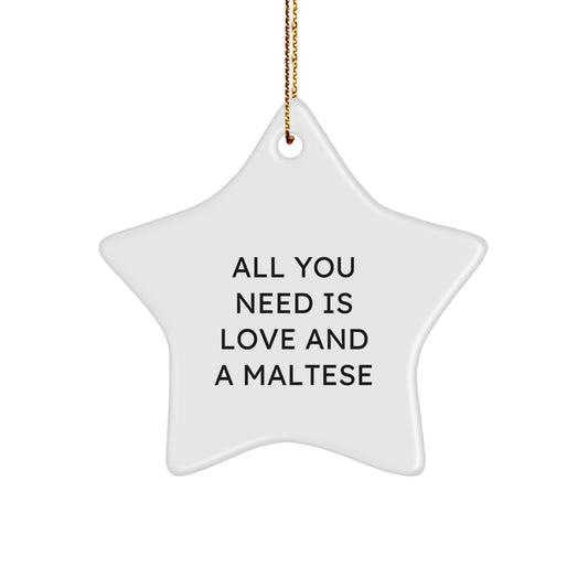 Funny Maltese Dog Gifts for Christmas, 'All You Need Is Love And A Maltese' Star Ornament, Star Shaped White Gift from Family to Loving Maltese Dog Owner - Image 1