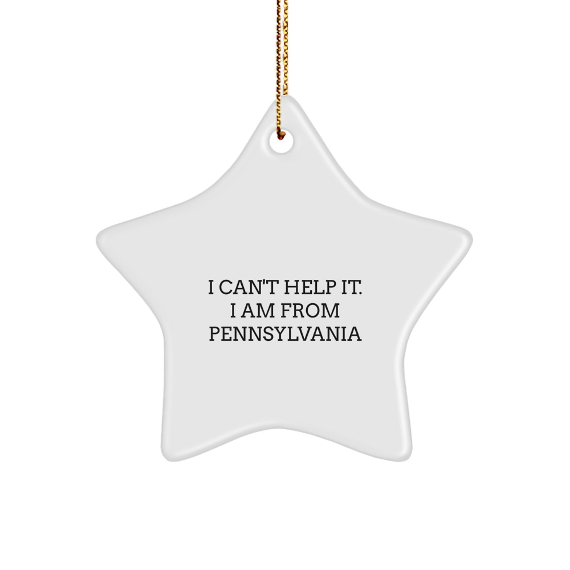 Pennsylvania Star Ornament Funny Quote Gifts for Friends and Family from Pennsylvania - Image 1