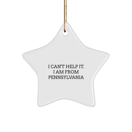 Pennsylvania Star Ornament Funny Quote Gifts for Friends and Family from Pennsylvania - Image 1